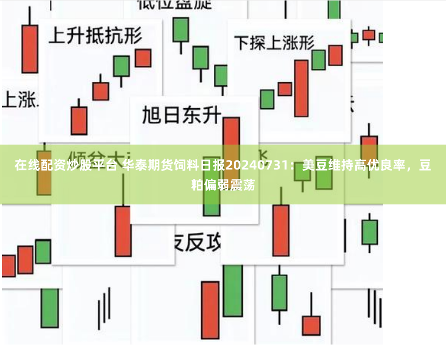 在线配资炒股平台 华泰期货饲料日报20240731：美豆维持高优良率，豆粕偏弱震荡